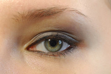 Obraz premium oeil gris vert