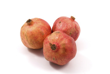 Melograni 5