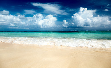sand of beach caribbean sea