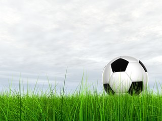 High resolution 3D soccer ball in green grass