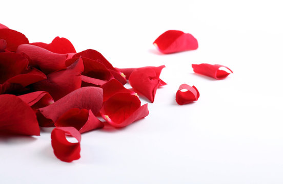 Rosenbl&auml;tter