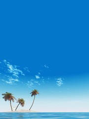 Fototapeta na wymiar High resolution conceptual island with palm trees