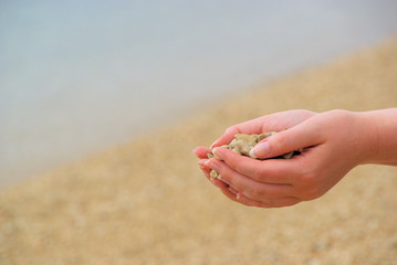 Hand mit Steinen - hand with stones 01