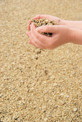 Hand mit Steinen - hand with stones 20