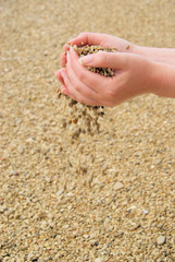 Hand mit Steinen - hand with stones 21