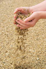 Hand mit Steinen - hand with stones 23