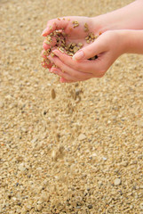 Hand mit Steinen - hand with stones 24