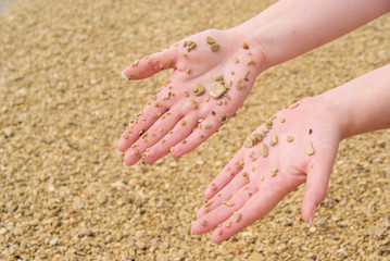 Hand mit Steinen - hand with stones 25