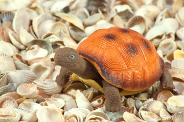 Turtle-toy
