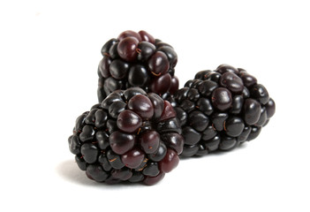 blackberry