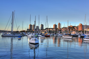Fototapeta na wymiar Rushcutters Bay Waterfront Sydney Australia