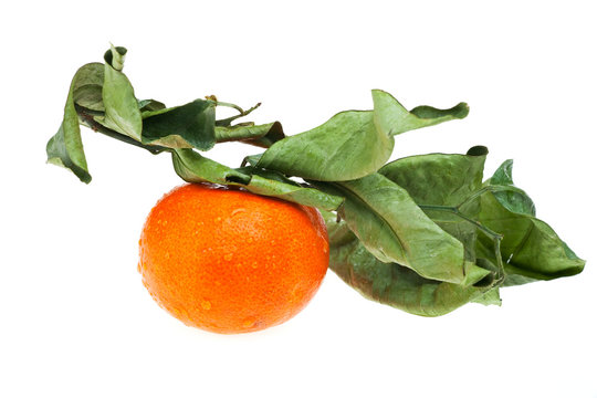 Mandarine isoliert auf weißem Hintergrund