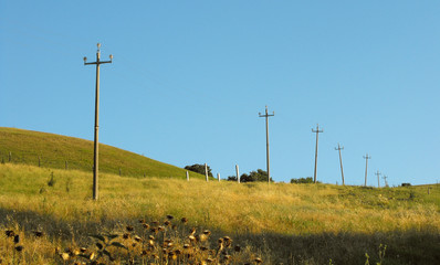 pali telefono