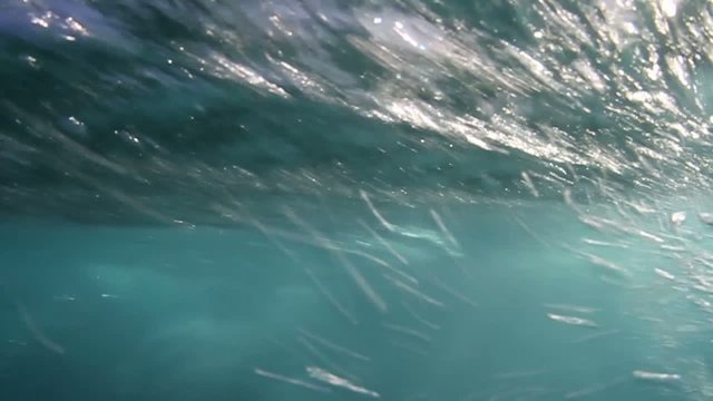 hollow breaking wave