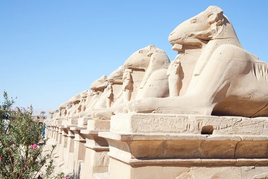 Statues of rams guarding included in Karnak temple