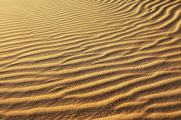 Sand texture