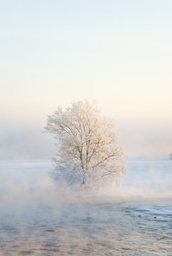 The foggy river
