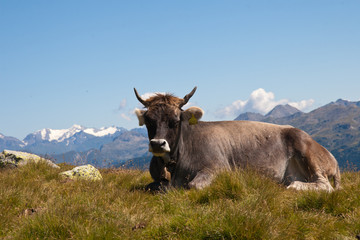 Almidylle in den Alpen