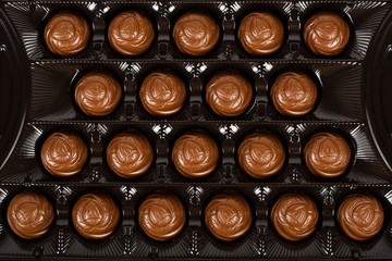 Delicious chocolate truffles in box