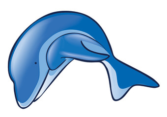 dolphin