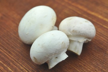 Champignon
