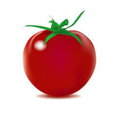 Tomato