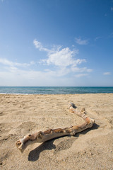 Fototapeta na wymiar am Strand in Kreta