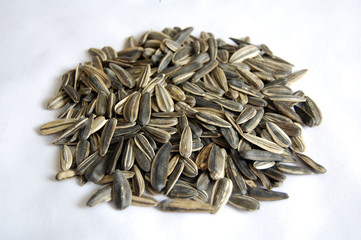 watermelon seed close up or macro