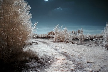 Moorlandschaft Farb, Infrarot
