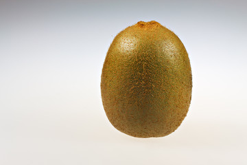 Kiwi Frucht stehend