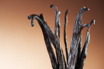 Vanilla pods close-up.Selective focus