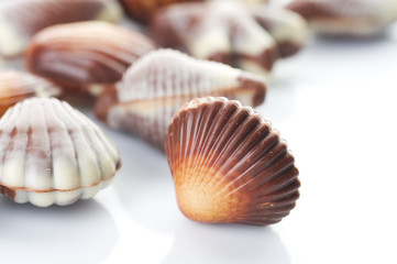Chocolate Seashells border.Isolated on white