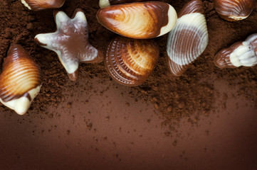 Chocolate Seashells border