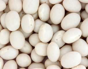 White beans