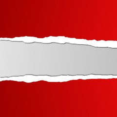 Zerrissenes Papier II