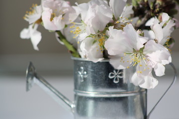 Gießkanne mit Blumen