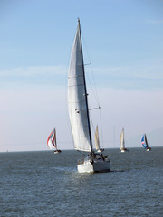 Obraz premium Several Sailboats on the bay under sail