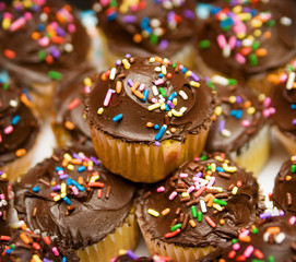 group of cupcakes