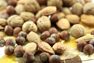 fruits secs, noix, noisettes, amandes, sur feuilles d'automne