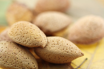 amandes sèches en coque