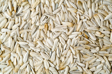 sunflower seeds