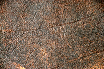 brown leather texture