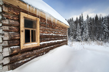 Russia log house in winter, with fir trees in background