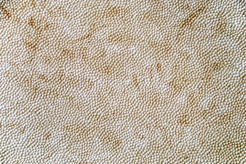 beige rubber texture