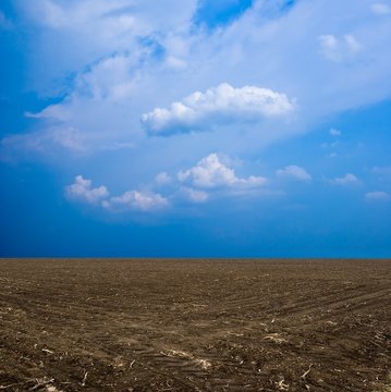 brown plough-land under a blue sky