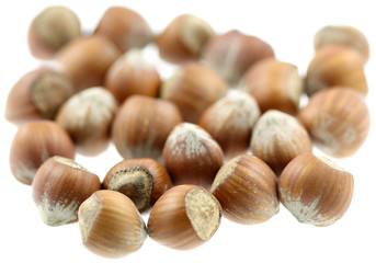 noisettes fond blanc