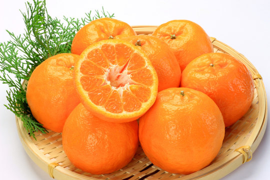 ponkan orange