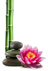 fleur de lotus, galets et bambou