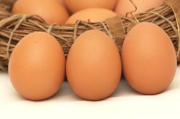 eggs