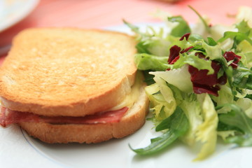 croque salade